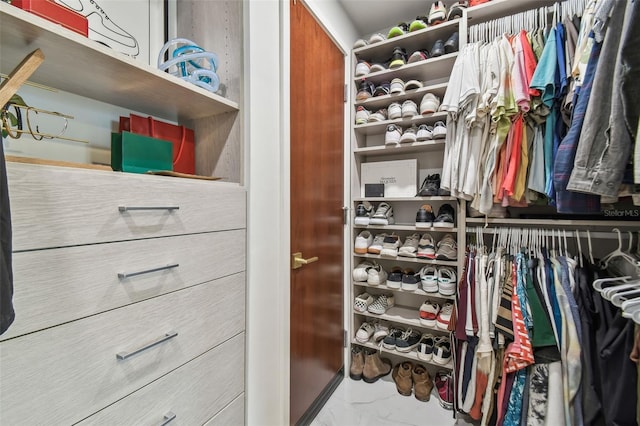 view of walk in closet