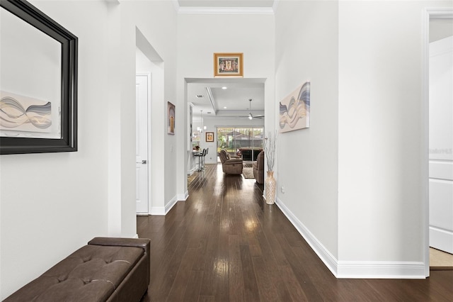 hallway with hardwood / wood-style floors and crown molding