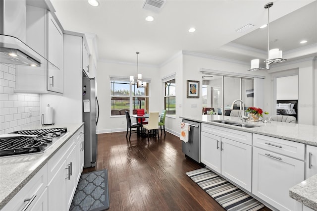 kitchen with sink, dark hardwood / wood-style floors, pendant lighting, white cabinets, and appliances with stainless steel finishes