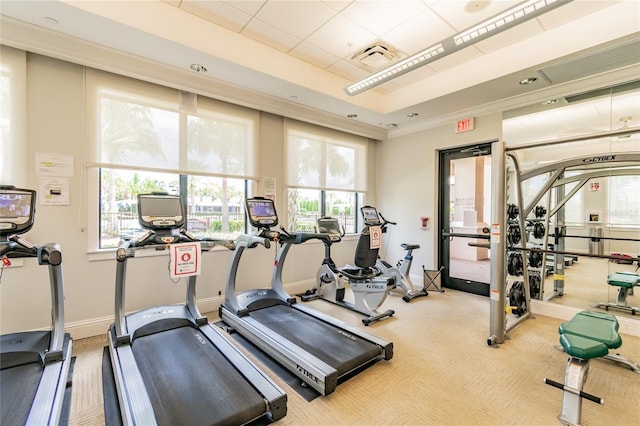 workout area featuring carpet and a tray ceiling