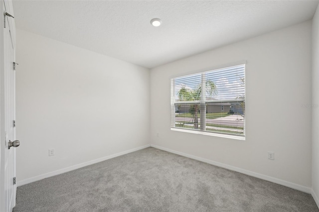 8379 Ender Hills Dr, Wesley Chapel, FL 33545 - photo 19