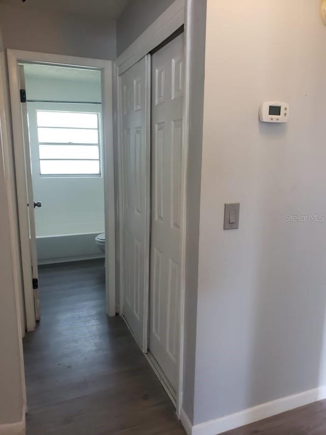 hallway featuring dark hardwood / wood-style floors