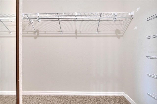 spacious closet with carpet floors