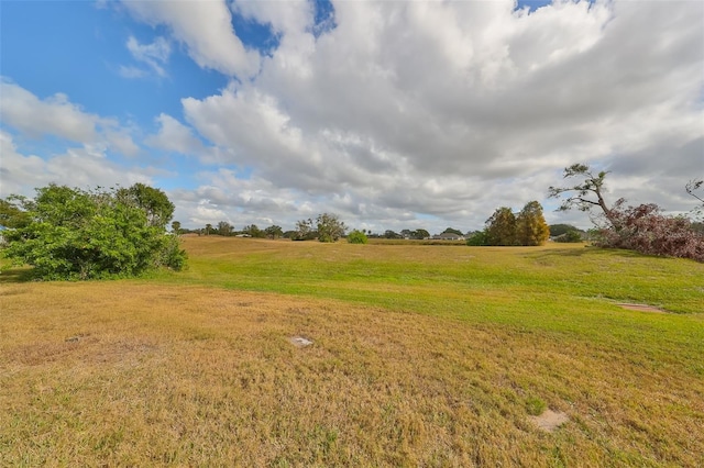 view of yard with a rural view