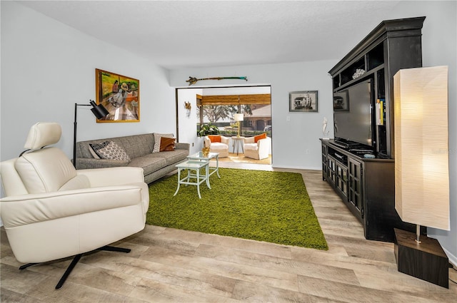 living room with hardwood / wood-style flooring