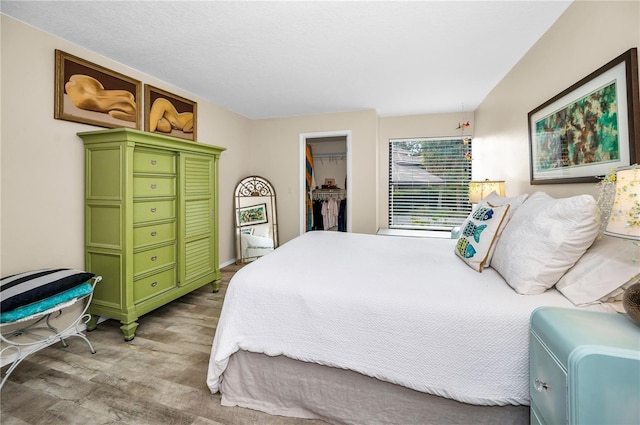 bedroom with a walk in closet, a closet, and light wood-type flooring