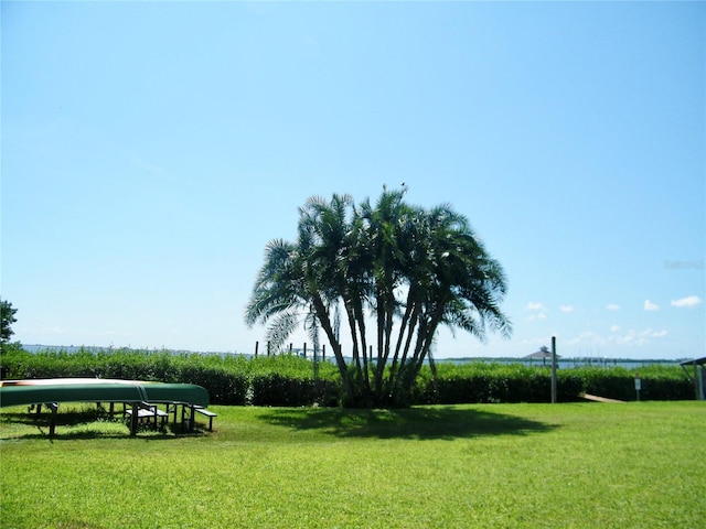 view of property's community with a lawn