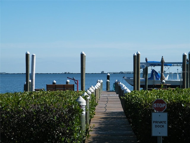 dock area with a water view