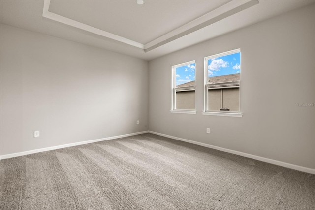 spare room with carpet floors and a tray ceiling