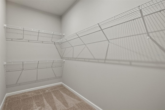 spacious closet with carpet