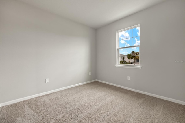 empty room featuring carpet floors