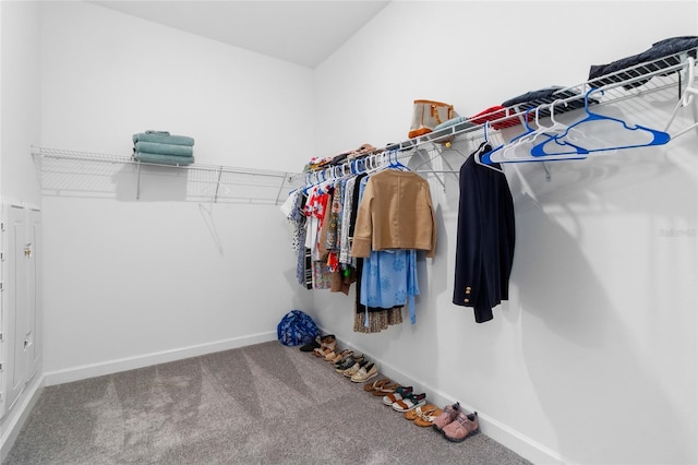 spacious closet with carpet flooring