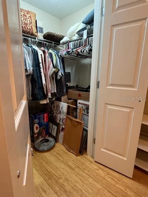 spacious closet featuring light hardwood / wood-style flooring