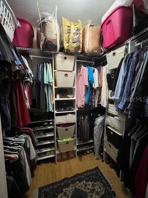 spacious closet with hardwood / wood-style flooring