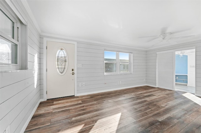 entrance foyer with a wealth of natural light and dark hardwood / wood-style floors