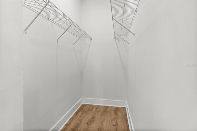 walk in closet with wood-type flooring