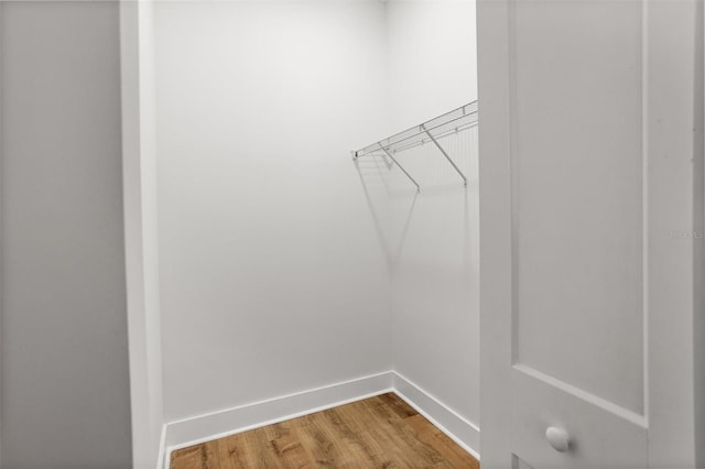 spacious closet featuring wood-type flooring