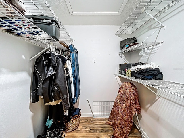 walk in closet featuring wood-type flooring