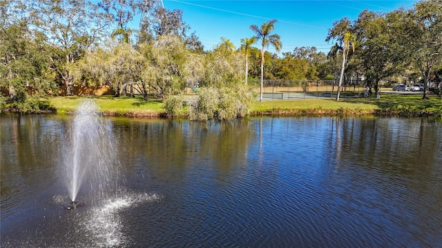 view of water feature