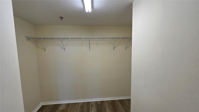 spacious closet featuring dark hardwood / wood-style floors