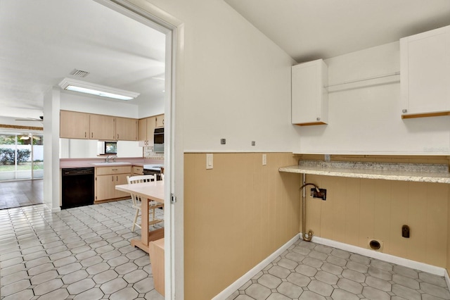 clothes washing area featuring ceiling fan and sink