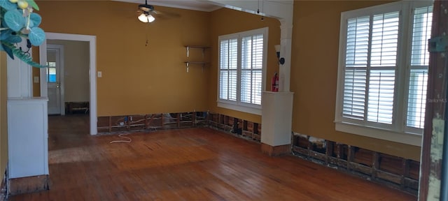 spare room with a wealth of natural light, ceiling fan, and dark wood-type flooring