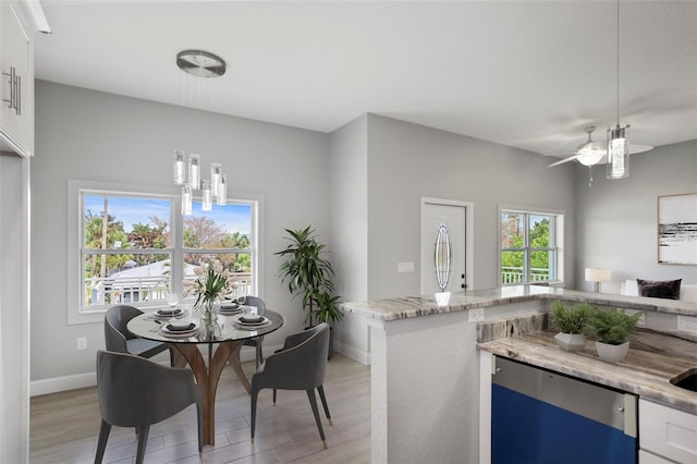 dining space with ceiling fan, a wealth of natural light, and light hardwood / wood-style floors