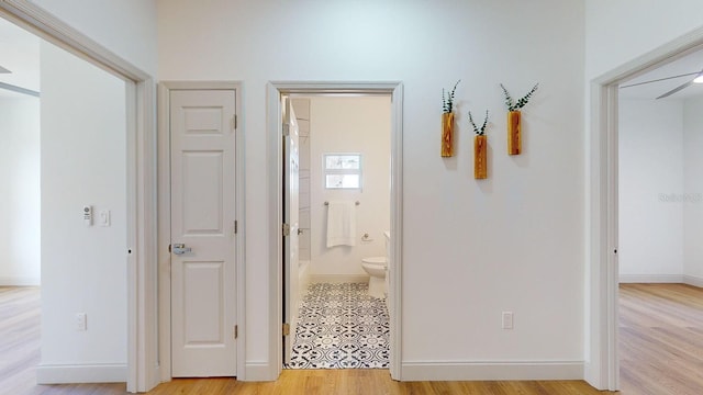 corridor featuring light hardwood / wood-style flooring