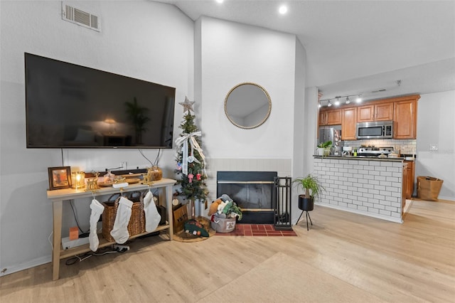 living room featuring light wood-type flooring and a fireplace