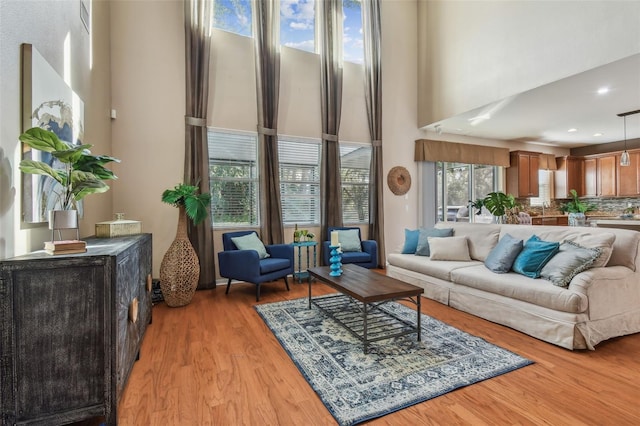 living room featuring a high ceiling and light hardwood / wood-style flooring