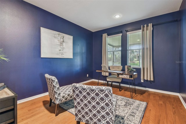 home office featuring wood-type flooring