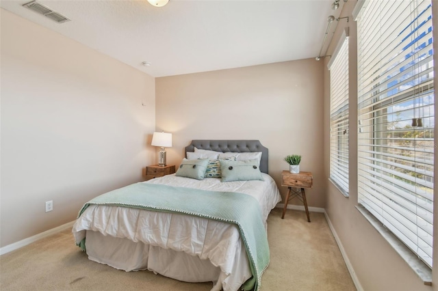 2212 Valterra Vista Way, Valrico, FL 33594 - carpeted bedroom with multiple windows
