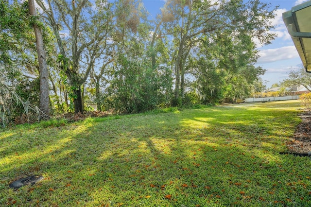 2212 Valterra Vista Way, Valrico, FL 33594 - view of yard