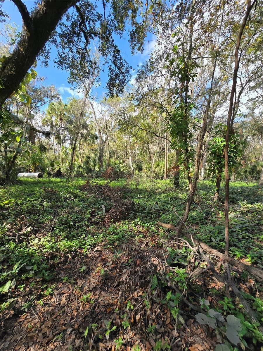 943 Estelle Ave, Brandon, FL 33511 - photo 2