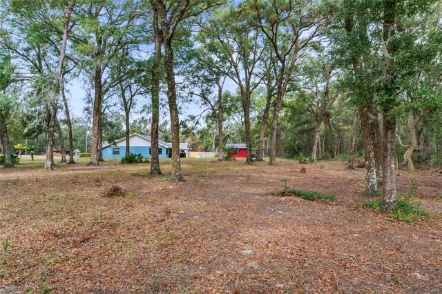 5250 Little Green Ln, Dade City, FL 33523 - photo 49