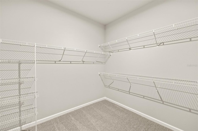 walk in closet with carpet