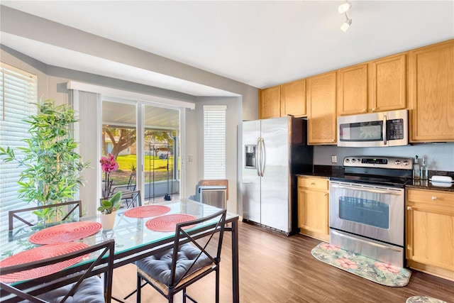 kitchen with light brown cabinets, dark wood-type flooring, and appliances with stainless steel finishes