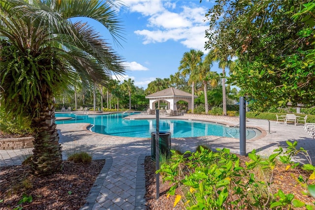 view of pool featuring a patio area