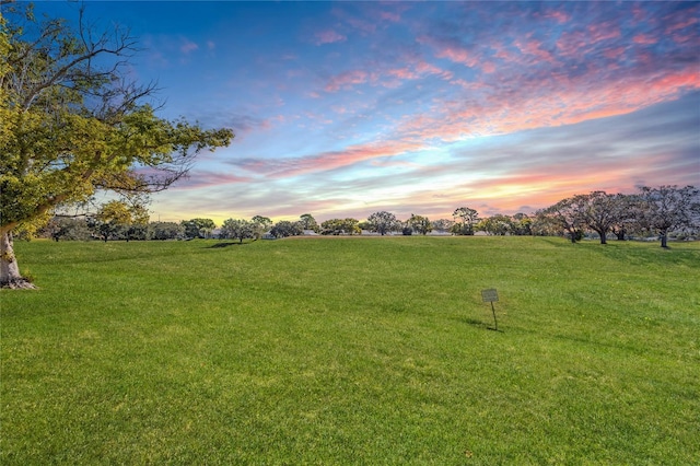 view of yard at dusk