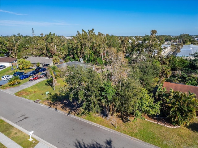 7017 13th St E, Sarasota, FL 34243 - photo 17