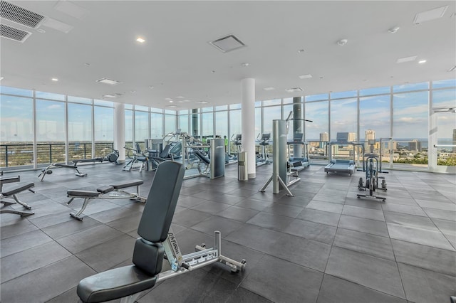 workout area featuring expansive windows and a healthy amount of sunlight