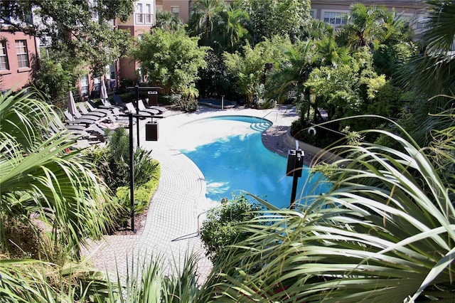 view of swimming pool with a patio