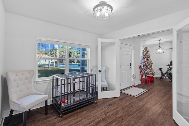 living area with dark hardwood / wood-style floors and french doors