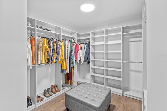 spacious closet featuring wood-type flooring