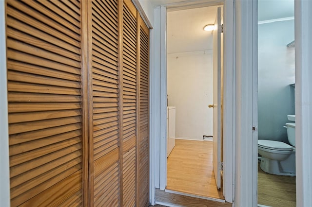 hall featuring light hardwood / wood-style floors and ornamental molding