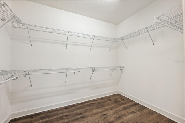 spacious closet with dark wood-type flooring