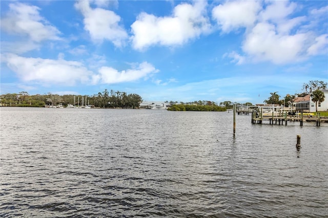 view of dock featuring a water view