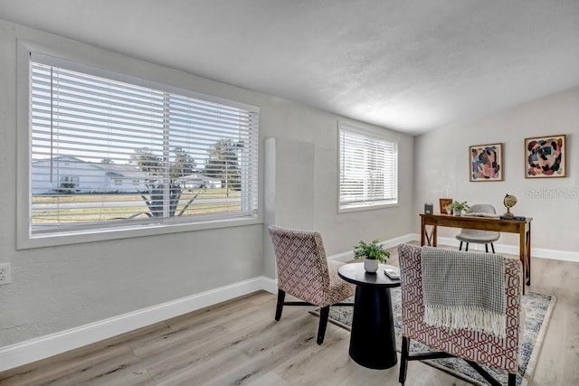 sitting room featuring light hardwood / wood-style flooring and vaulted ceiling