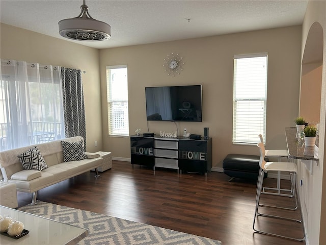 living room featuring a healthy amount of sunlight and dark wood-type flooring