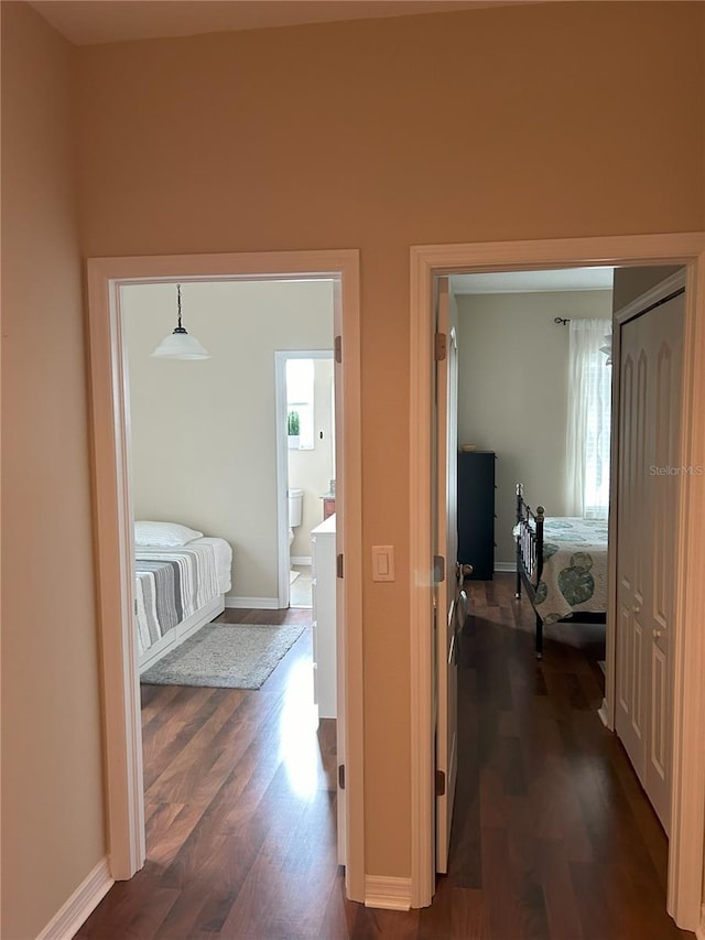 hallway with dark hardwood / wood-style floors